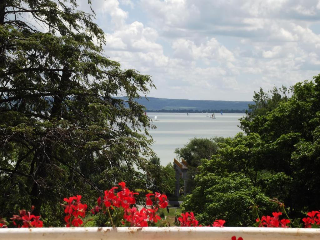 Sir David Balaton Castle Apartmanok 벌러톤세페즈드 외부 사진
